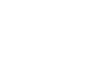 BIM Alliance
